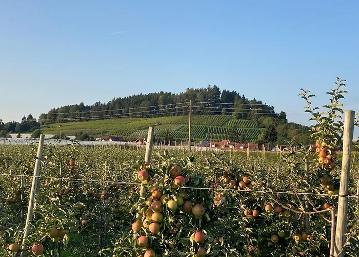 Ferienwohnung Koenig